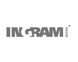 ingram micro logo