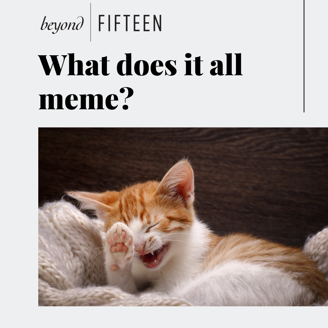 What Does it All Meme?