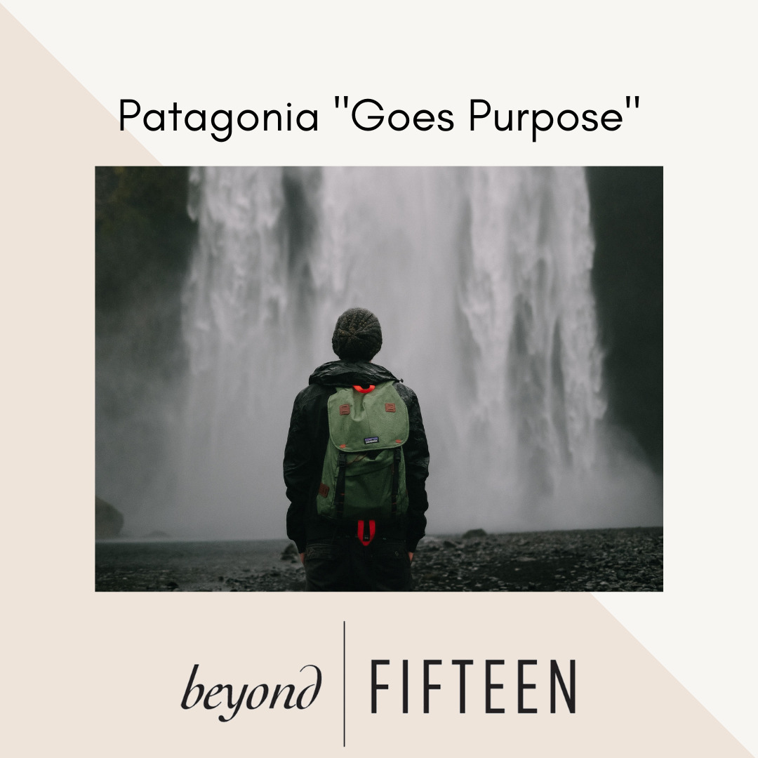 patagonia goes purpose