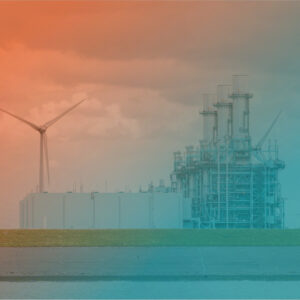 sustainability trends